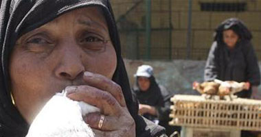 تحذيرات عالمية من تفشى مرض أنفلونزا الطيور بمصر فى فصل الشتاء