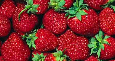"الزراعة": رفع حظر الفراولة بالسوق الكويتية يؤكد جودة المنتج المصرى
