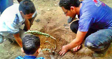 بالصور.. فريق جمعية رسالة بسوهاج يزرع الأشجار بمدرسة الباحثة