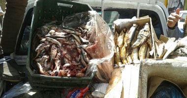 شرطة التموين تضبط 25 طن أسماك وفسيخ ورنجة فاسدة قبل شم النسيم
