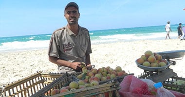 بائع جاء من رفح ليبيع الخوخ للزبائن بالعريش فى شم النسيم