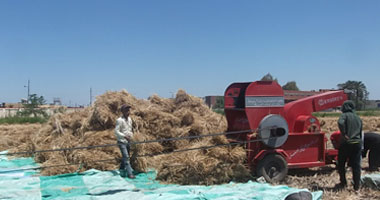 "زراعة سوهاج" تنظم ندوة حول تحسين طرق الزراعة والنهوض بمحصول القمح