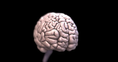دراسة تؤكد اكتمال نضج مخ الإنسان فى الرابعة والعشرين من عمره