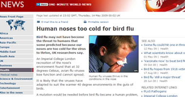 برودة الأنف البشرية لا تناسب انتشار أنفلونزا الطيور