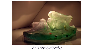 معرض وصالون ثقافى بمناسبة ذكرى زكريا الخنانى