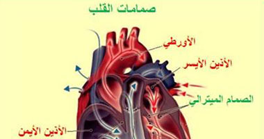 ماذا يعنى "لغط القلب" وكيف يحدث؟