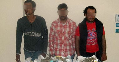 ضبط 3 مروجين للمخدرات بالعريش بحوزتهم 8 كيلو بانجو