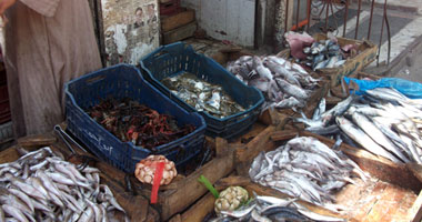 أسعار الأسماك اليوم: البلطى يبدأ من 12 جنيها والسبيط 45 حتى 70 جنيها