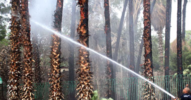 السيطرة على حريق أشجار بقطعة أرض فى العمرانية دون إصابات