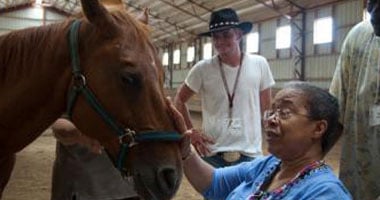 رعاية الخيول قد تخفف من أعراض مرض الزهايمر