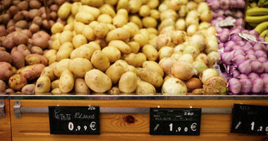 الزراعة: استيراد 125 ألف طن تقاوى بطاطس من أوروبا استعدادا للموسم الجديد