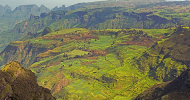 تعرف على مراحل تصنيع "القهوة" بمرتفعات "كافا" الأثيوبية
