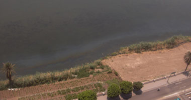 "البيئة" تواصل جهودها لتشتيت بقعة زيت بمساحة 50 مترا فى النيل بالدقهلية