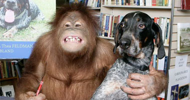 بالصور.. صداقة غير تقليدية بين قرد وكلب