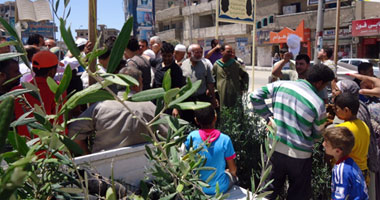 مركز البحوث الزراعية بـ"بجنوب الوادى" يقدم "شتلات" ذات جودة عالية