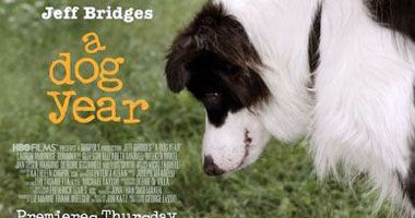 " A Dog Year " اليوم على قناة mbc2 