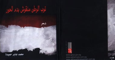 الشاعر محمد حميدة يحتفل بديوانه الأول وسط اعتصام المثقفين