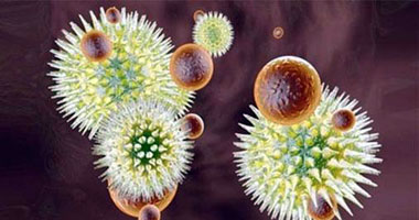 دراسة أمريكية: اكتشاف 5 فيروسات بالجسم مسئولة عن الإصابة بالأمراض