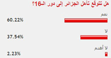 60% من زوار "اليوم السابع" يتوقعون فوز الجزائر