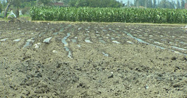 الزراعة تنهى75% من أعمال حرث التربة وتطهير الترع استعدادا للموسم الشتوى