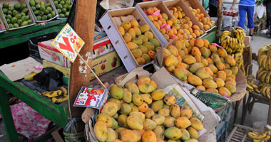 أسعار الفاكهة بسوق العبور: البرتقال بـ1.5 جنيه والموز بـ3.5 جملة