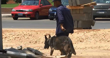 إبطال مفعول قنبلة أعلى كوبرى ترعة النصر بالطريق الصحراوى بالبحيرة