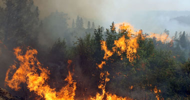 حرائق الغابات تدمر عشرات المنازل بولاية "كاليفورنيا" الأمريكية