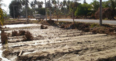 قارئ يشكو من انقطاع مياه الرى عن قرية الشوامى بالدقهلية