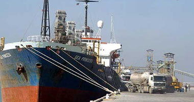 محافظة السويس تحذر من مخاطر استقبال ميناءى السخنة والأدبية لـ"الفحم"