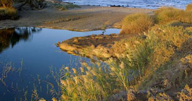 وزيرة البيئة تكشف عن تحقيق محمية وادي دجلة أعلى معدل زيارة شهرية فى يناير