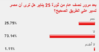 73% من القراء: الثورة لا تسير على الطريق الصحيح