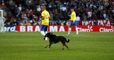 بالفيديو.. كلب يقتحم ملعب مباراة البرازيل وفنزويلا بكوبا أمريكا