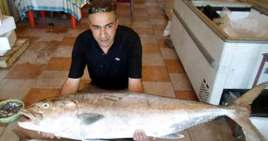 صياد لبنانى يصطاد سمكة "زرزور" تزن 50 كغم