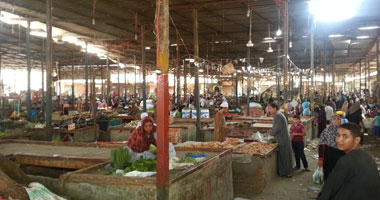 تموين الإسكندرية تعيد 9 أطنان خضراوات إلى سوق الجملة