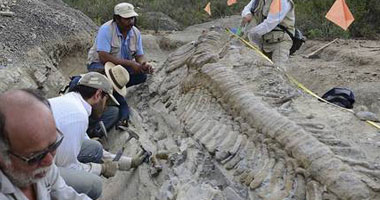 اكتشاف هيكل عظمى لديناصور يعود لـ130 مليون عاما فى روسيا