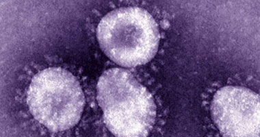 دراسة تتوصل إلى أن الفيروس التاجى لم يصل بعد إلى احتمالات الوباء