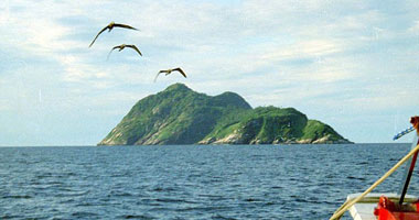 إنقاذ 3 أشخاص فى جزيرة بالمحيط الهادى بعد كتابتهم "النجدة" بسعف النخيل