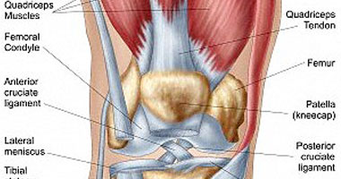 لمرضى خشونة الركبة.. الحقن الموضعى يحسن الحركة مؤقتا