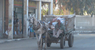 مصرع طفلة صدمتها عربة كارو بالقناطر الخيرية