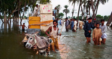 فرق إنقاذ تجلى 50 ألف شخص من فيضانات بجنوب باكستان