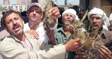 تظاهر فلاحى الدقهلية أمام مبنى المحافظة لجفاف زراعتهم