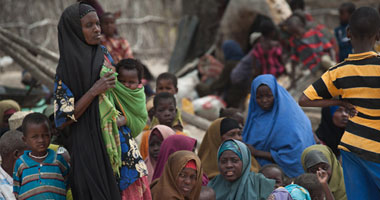 "فاو": 4.6 مليون شخص يواجهون نقصا حادا فى الغذاء بجنوب السودان