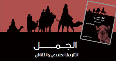 "كلمة" يصدر كتاب "الجمل.. التاريخ الطبيعى والثقافى" للمؤلف روبرت إيروين