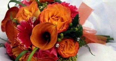 عمرو النحاس يكتب: عشــق الورود