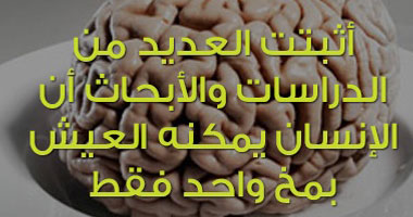 474 ألف شاب يعلنون الهجرة من "غم السياسة" إلى "مرح التفاهة".. صفحات على فيس بوك تجذب آلاف المتابعين لتقدم "كل يوم معلومة تافهة".. وتفاجئ الجميع: "الكهرباء عندما تنقطع لا يمكن خياطتها"