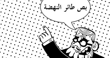 طائر