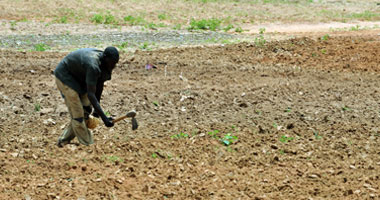 الزراعة تقنن 200 ألف فدان لواضعى اليد من الأفراد بـ5 محافظات