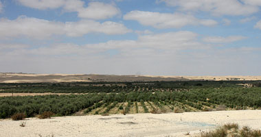 الزراعة: ضوابط جديدة لتقنين وضع اليد على الأراضى الصحراوية