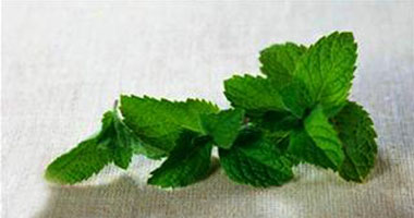   Advantages of drinking mint 