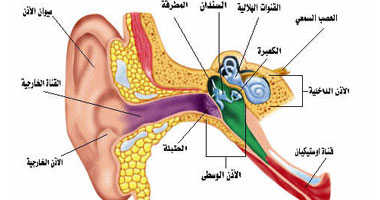 تبادل سماعات الأذن وغطاء الرأس عادات خاطئة تسبب الإصابة بعدوى الأذن